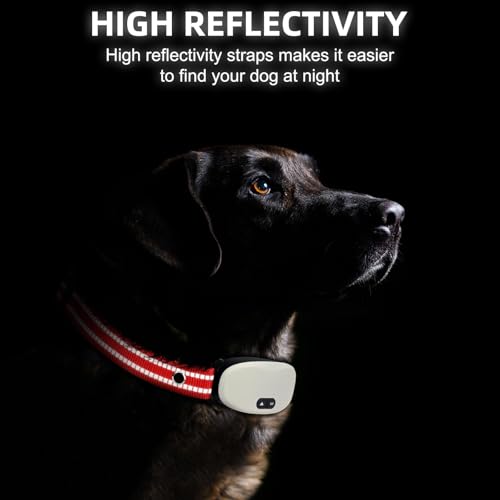 Collar Replacement Strap, Reflective Replacement Nylon Collar Strap Dog GPS Training Bark Receiver Collars, Durable Adjustable E Collar Straps for Small Medium Large Dogs, Red - color: Red