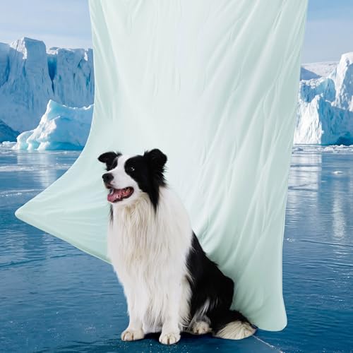 Bedsure Cooling Blanket for Bed with Breathable Air-Core Fill Q-MAX>0.4 - Lightweight Pet Cat Throw Cold Blanket Washable for Summer，Soft Dog Cooling Mat for Couch, Pale Jade, 60x80 - color: Pale Jade, size: Twin(60x80")