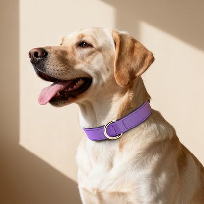 Didog Soft Padded Dog Collar for Large Dogs, Lightweight and Breathable Dog Collar with Metal Buckle, Purple, XL - color: Purple, size: XL: Fit 17-23" Neck