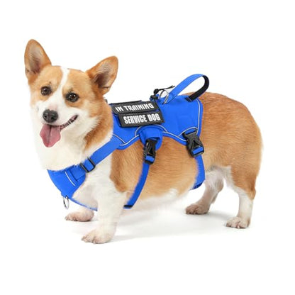 Escape Proof Dog Harness, Soft Padded Full Body Pet Harness, Reflective No Pull Dog Harness with Handle and 2 Leash Clips for Small Dogs Walking Hiking Training (Blue,S)