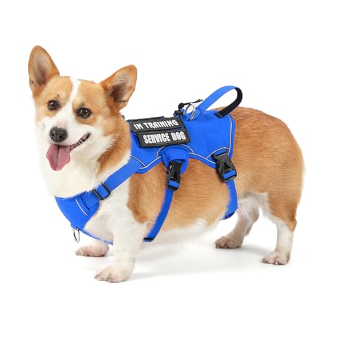 Escape Proof Dog Harness, Soft Padded Full Body Pet Harness, Reflective No Pull Dog Harness with Handle and 2 Leash Clips for Small Dogs Walking Hiking Training (Blue,S)