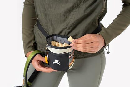 OllyDog Goodie Treat Bag, Dog Treat Pouch, Waist Belt Clip for Hands-Free Training, Magnetic Closure, Dog Training and Behavior Aids, Three Ways to Wear (Ventura '73) - color: Ventura '73