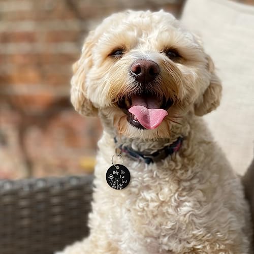 Stainless Steel QR Code Pet ID | Personalized Dog & Cat Tag with Online Profile & Location Alert Email | Durable Collar Identifier