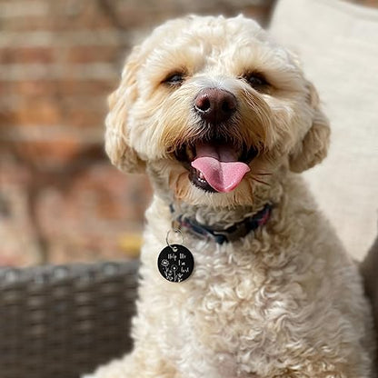 Stainless Steel QR Code Pet ID | Personalized Dog & Cat Tag with Online Profile & Location Alert Email | Durable Collar Identifier