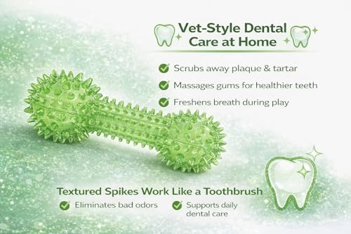 Squeaky Spiky Dog Barbell Toy for Teeth Cleaning & Gum Massage 6.3 Inch Medium Large Dogs Green | Spiny TPR Rubber Chew Toy for Fetch Play Interactive Dental Barbell Durable BPA Free Nontoxic Floats - size: Green Bone 1-Pack