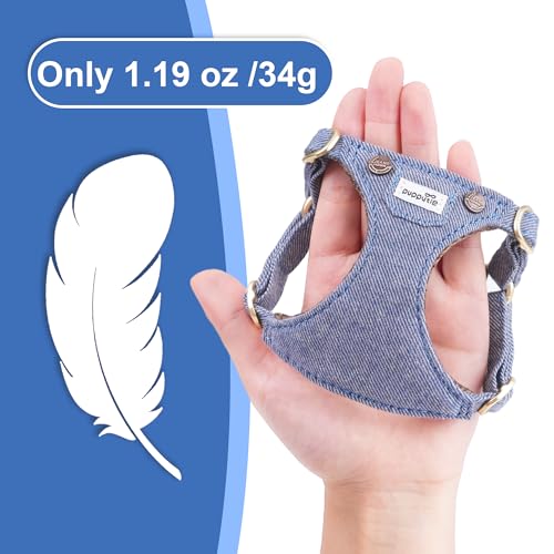 No Pull xs Dog Harness with Multifunction Dog Leash,Soft Adjustable No Choke Escape Proof Pet Harness Vest,Denim Light Blue,XXS - color: Pocket-Light Blue, size: XXS