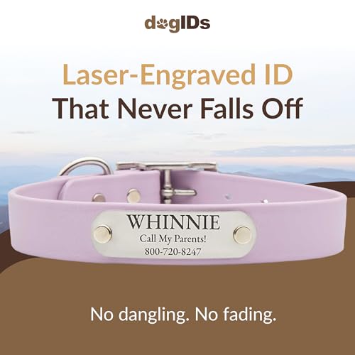 dogIDs Personalized Dog Collar – Custom Waterproof Soft-Grip Biothane with Laser-Engraved Nameplate, Durable & Odor-Resistant, USA Made | Lavender, 1 in x 16 in (Fits Necks Size 14-18 in) - color: Lavender, size: 1 in x 16 in (Fits Necks Size 14-18 in)
