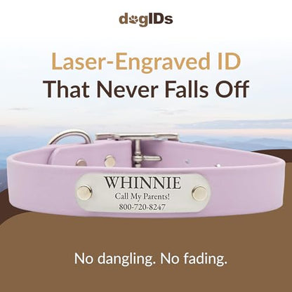 dogIDs Personalized Dog Collar – Custom Waterproof Soft-Grip Biothane with Laser-Engraved Nameplate, Durable & Odor-Resistant, USA Made | Lavender, 1 in x 16 in (Fits Necks Size 14-18 in) - color: Lavender, size: 1 in x 16 in (Fits Necks Size 14-18 in)