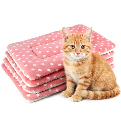 4 Pack Cat Bed Mat, 22" x 15" Soft Fluffy Flannel Small Pet Blanket, Washable Sleeping Pad for Indoor Cats, Kittens, Puppies, Star Print - Pink - color: Pink, size: 22x15 Inch