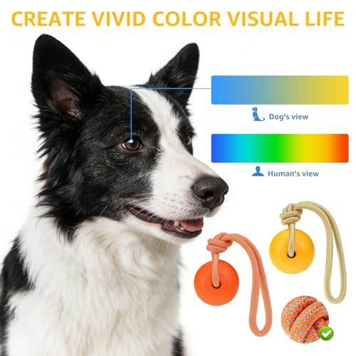 SCENEREAL Floating Dog Pool Toys - Ball on Rope Fetch and Tug-of-War Toy for Medium Large Dogs Outdoor Training, EVA Rubber Water Pet Interactive Toys for Summer Beach, Yellow - color: Yellow