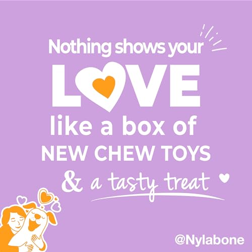Nylabone Dog Gift Box, Includes 3 Strong Chew Toys and 1 Natural Treat, Gifts for Dogs, Small - Up to 25 lbs, 4 Pack - size: Small (4 Count)