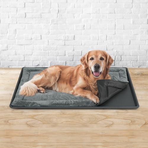 CAPHAUS Dog Pad with Tray for 48-Inch Crate, Mat with Non-Slip Bottom, Durable Plastic Tray and Machine-Washable Flat Dog Bed for Easy Cleaning - color: Tray & Dog Bed, size: Large