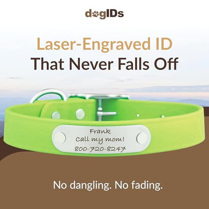 dogIDs Personalized Dog Collar – Custom Waterproof Soft-Grip Biothane with Laser-Engraved Nameplate, Durable & Odor-Resistant, USA Made | Margarita, 1 in x 16 in (Fits Necks Size 14-18 in) - color: Margarita, size: 1 in x 16 in (Fits Necks Size 14-18 in)