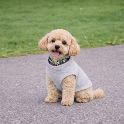 JACKO & CO - Fleece Vest Dog Sweater with Leash Ring - Soft, Warm & Lightweight Pullover Coat for Small & Medium Dogs, Puppies & Cats - Cozy Fall/Winter/Spring Pet Jacket (Grey, Small 4-6lbs) - color: Grey, size: S (4-6lbs)