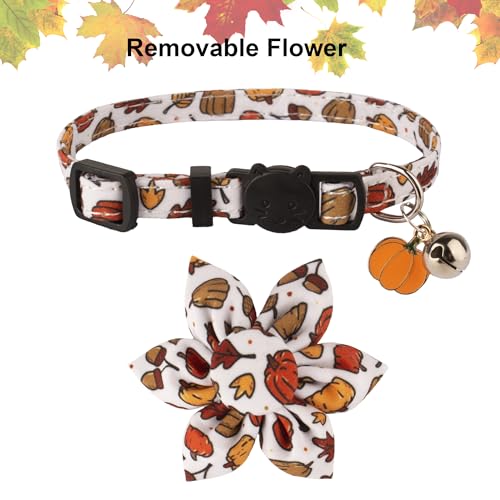 ADOGGYGO Thanksgiving Cat Collars with Removable Flower Bell, Adjustable Thanksgiving Fall Pumpkin Floral Collars for Girl Cats & Kittens - color: Thanksgiving