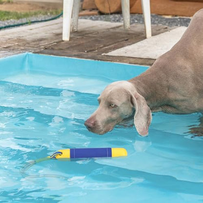 Dog Pool Toys Float on Water, Interactive Fetch Toy for Training Retrieving Bumper Outdoor Backyard Summer 2 Pack