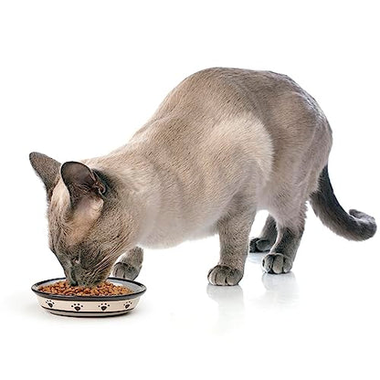 PetRageous 44247 Oval Metro Paws Stoneware Cat Bowl 6.25-Inch Wide and 1.5-Inch Tall Saucer with 1-Cup Capacity and Dishwasher and Microwave Safe for Small Dogs and Cats, Multicolored,Black