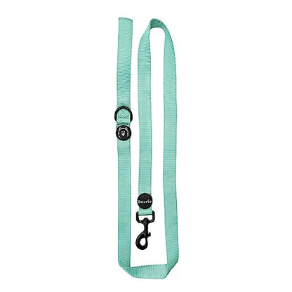 ShawnCo Dream Walk Dog Leash- Premium, Nylon Pet Leash with Soft Neoprene Handle for Small, Medium and Large Dogs (Seafoam, Small) - color: Seafoam, size: Small