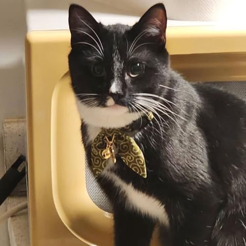 Bunny Ears Cat Collar, Japan Lucky ‘開三運’ Charm. Safety Breakaway Bowtie Kitten Collar with Bell, Green - color: Green