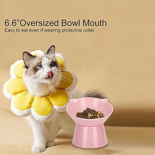 Detachable Elevated Cat Bowls, 15° Tilted Raised Cat Food Bowl Anti-Vomiting,Whisker Friendly, Adjustable Pet Dishes Extra Wide for Protecting Spine, Adult Kitten (Pink - color: Pink