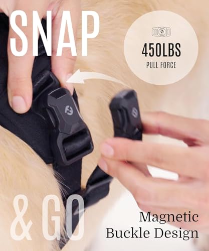 2026 New Edition, Fei & Eve MagEase Dog Harness - Instant Magnetic Buckle | 3-Point No-Pull Control | Heavy-Duty 900D Nylon | Dual Safety Handles | Breathable Mesh | Adjustable Fit | Medium,Black - color: Black, size: M