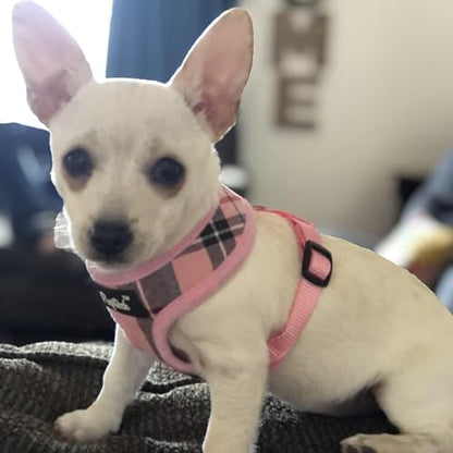 PUPTECK Soft Mesh Dog Harness and Leash Set Pet Puppy Cat Comfort Padded Vest No Pull Harnesses, Light Pink, XS - color: Light pink, size: XS (NECK: 10", CHEST: 10"-14")