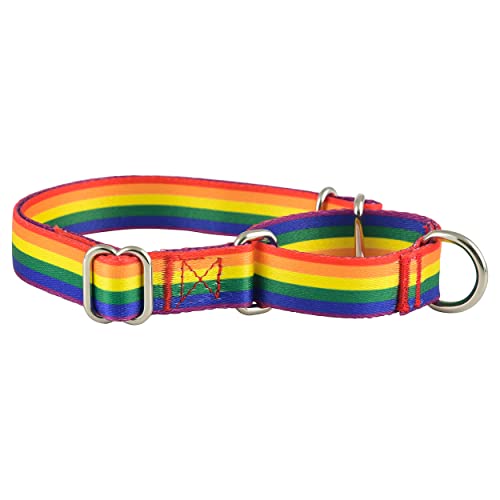 Martingale Collar for Dogs, No Slip Puppy Training for Boy or Girl, Small or Large Dogs, Cute Flower, Pink, American Flag Patterns (Small, Rainbow Flag) - color: Rainbow Flag, size: Small