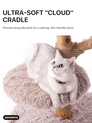Sopapets Solid Wood Cat Tree for Large Cats, 41.3" Modern Cat Tower with Heavy Duty Real Branch & Hand-Woven Basket, Sisal Scratching Posts & Cozy Bed, Luxury Furniture for Indoor & Maine Coon, Beige - color: Beige