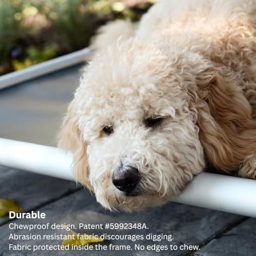 Kuranda Chewproof Elevated Dog Bed - Silver Aluminum - 25" x 18" - Heavy Duty Vinyl - Royal Blue - color: Royal, size: Toy