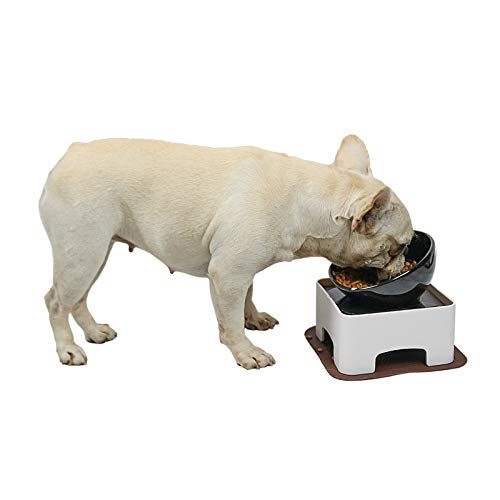 Raised Tilted Dog Feeding Bowl,Elevated Ceramic Dog Bowls Set Anti-Slip,Standing Pet Feeding Dish for Small Medium Dogs and Cats,Black - color: Black