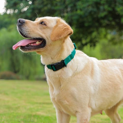 Waterproof Dog Collar, Easy to Clean Rubber Dog Collars with Quick Release Buckle Fits Small Medium or Large Dogs (Emerald Green, M < 11.8-18.5 inch) - color: Emerald Green, size: M (11.8-18.5 inch)