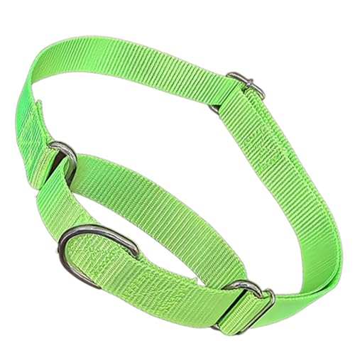 Martingale Collar for Dogs,Soft Nylon Choker Collar for Dogs,Training Escape Proof Heavy Duty Choke No Pull Collars Adjustable for Small Medium Large Pet Girl Female Dogs,Green S - color: Green, size: S(Neck 10-14")