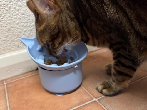 Elevated Cat Bowl, Silicone Kitten Bowls for Food and Water, Wide Shallow Cat Food Dish, Whisker Fatigue, Lead & Cadmium Free, Great Height for Pets (Pink) - color: Pink
