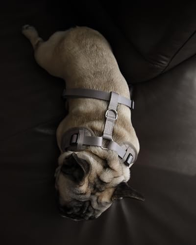 Premium No-Pull Dog Harness Soft Neoprene & Breathable Mesh Vest with Front & Back Clip D-Rings Adjustable Lightweight Walking Harness for Puppies, Small & Medium Dogs (Brown Taupe Snake, M) - color: Brown Taupe Snake, size: M: Neck=15.4-20.1''/Chest=18.1