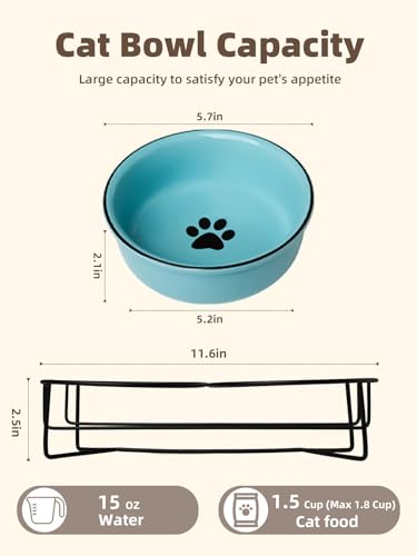 GDCZ Ceramics Raised Cat Bowls with Heighten Metal Stand,15 Ounces Turquoise - color: Turquoise