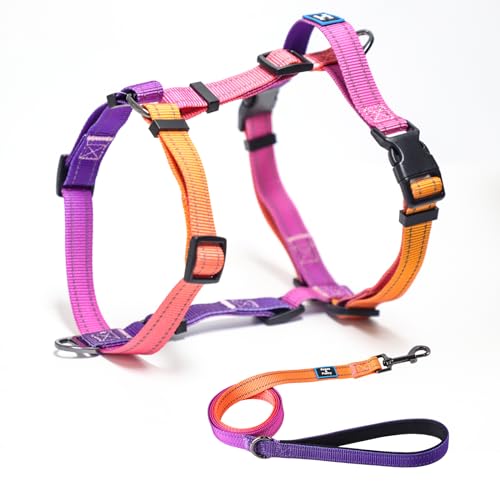 Roses&Poetry Dog Harness with Leash, No Pull Adjustable Harness Leash, Reflective Dog Halter Harnesses Comfort Padded Handle, Pet Walking Harness for Medium Dogs（Mistyrose-M） - color: Mistyrose, size: Medium