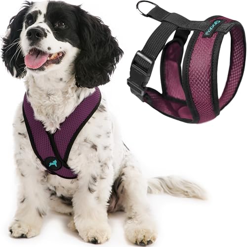 Gooby Comfort X Head In Harness - Purple, Medium - No Pull Small Dog Harness, Patented Choke-Free X Frame - Perfect on the Go Dog Harness for Medium Dogs No Pull, Small Dogs for Indoor and Outdoor Use - color: Purple, size: Medium Chest (14.25-18.75")