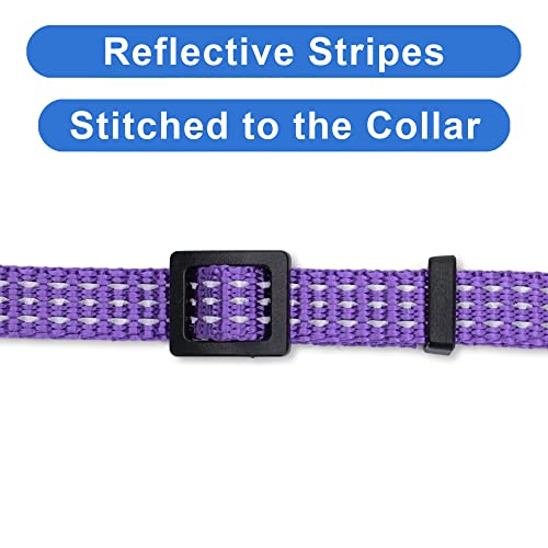 Pawtitas Reflective Purple Cat Collar with Safety Buckle and Removable Bell for Kitten and Cats - color: Reflective Purple