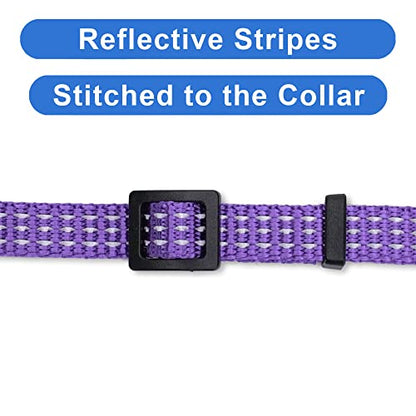 Pawtitas Reflective Purple Cat Collar with Safety Buckle and Removable Bell for Kitten and Cats - color: Reflective Purple