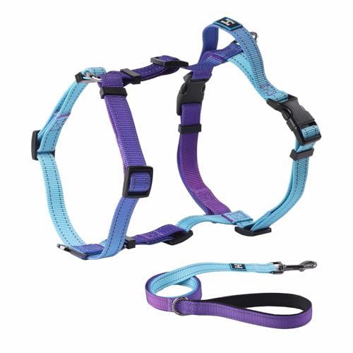 Roses&Poetry Small Dog Harness and Leash Set, No Pull Dog Harness Adjustable Reflective, Dog Halter Harnesses Comfort Padded Handle, Pet Harness for Training Outdoor Walking（Gsky-S - color: Violet, size: S