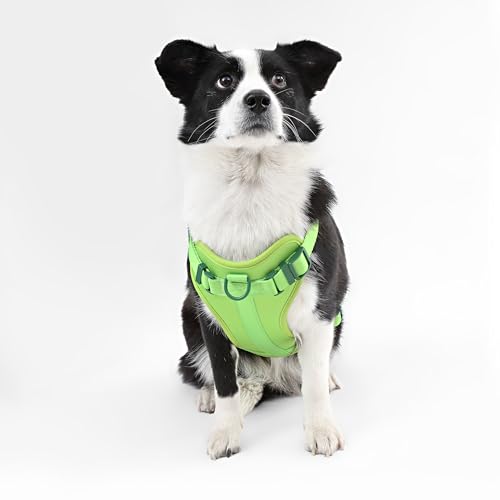 HNS1003B Arlo Large Adjustable Soft Padded No Pull Pet Harness with 3 Buckles and 3 Leash Clips, Mojito - color: Light Green, size: Large (Chest: 24 - 37")