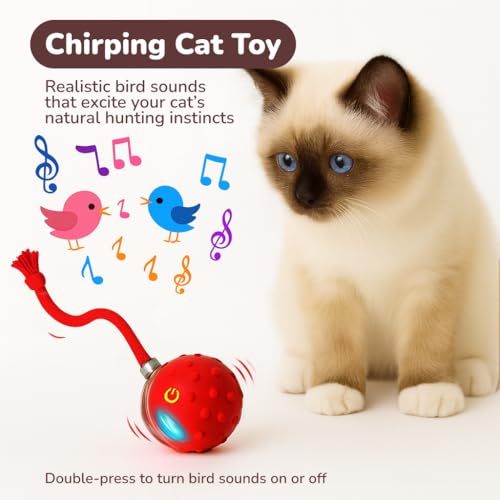 Interactive Cat Toy Ball for Indoor Cats – Fast Rolling on Carpet, Motion Activated with Chirping Sounds, Smart Play Toy (Crimson) - color: Crimson