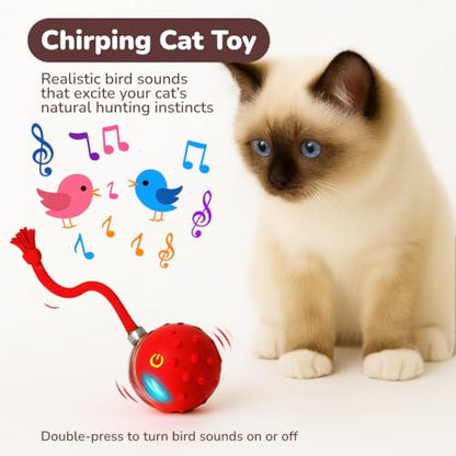 Interactive Cat Toy Ball for Indoor Cats – Fast Rolling on Carpet, Motion Activated with Chirping Sounds, Smart Play Toy (Crimson) - color: Crimson