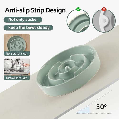 Havniva 8.2” Raised Slow Feeder Dog Bowls, 1.6 Cups Ceramic Dog Bowl Slow Feeding for Medium Breed, Elevated Puzzle Dog Food Bowl with Wooden Stand Non-Slip Anti-Gulping & Anti-Choking - color: 1 x Light Green+Stand-A, size: 8.2inch