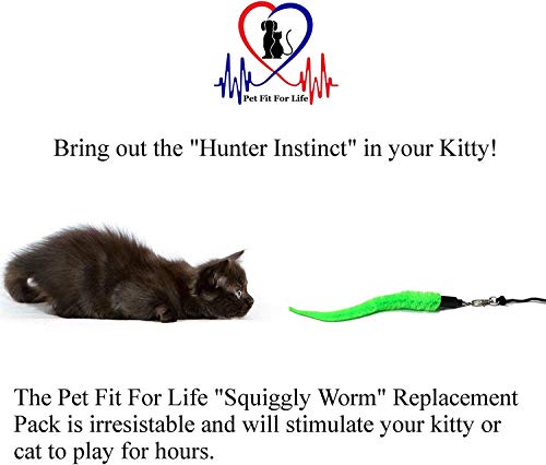 Pet Fit for Life 5 Piece Replacement Pack of Worms for Interactive Cat and Kitten Toy Wands - style: 5 Squiggly Worms
