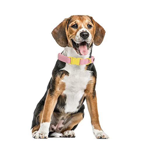 Maca Bates Dog Collar and Leash Set, Adjustable Solid Dog Collar and Leash for Small Medium Large Dog with Golden Metal Buckle - color: set-sakura, size: XS