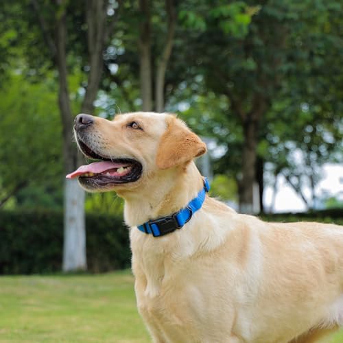 Waterproof Dog Collar, Easy to Clean Rubber Dog Collars with Quick Release Buckle Fits Small Medium or Large Dogs (Blue, M < 11.8-18.5 inch) - color: Blue, size: M (11.8-18.5 inch)