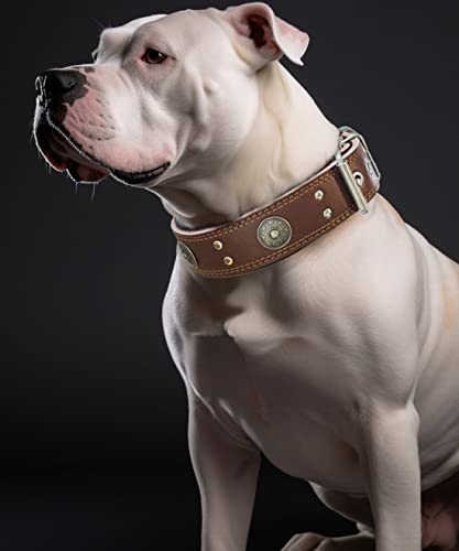 Leather Dog Collar, 2 inches Wide Heavy Duty Genuine Leather Collars, Handmade, Soft, and Luxury, Eye-catching Best Choice for Large and Medium Breed Dogs, Brown 15-19 in - color: Brown, size: 15-19 in