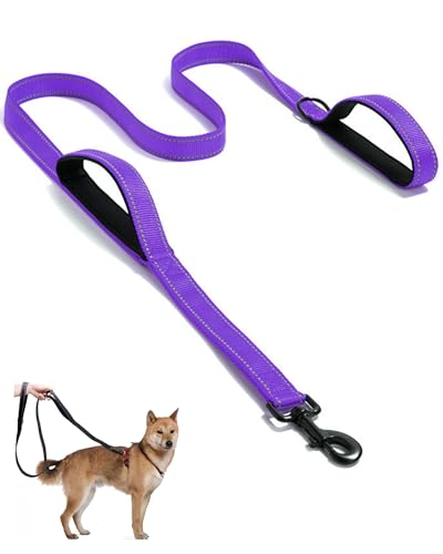 Aeclleca Soft Handle Reflective Black Dog Leash with 2 Padded Handles, 5FT Heavy Duty Pet Lead for Medium & Large Dogs, Comfortable Anti-Slip Grip & Night Safety Design (Purple) - color: Purple