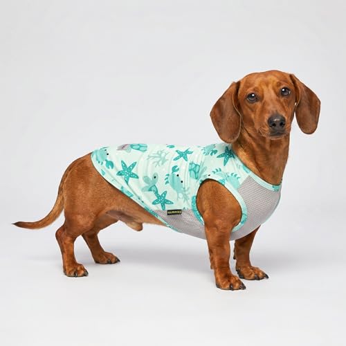 Fitwarm 2 Pack Marine UPF 50+ UV Sun Protection Dog Shirt, Lightweight Cooling Vest, Quick Dry Summer Clothes for Small Dogs Boy Girl, Pet Outfit, Sky Blue, Mint Green, Medium - color: Marine, size: Medium